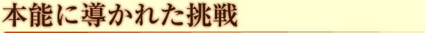 本能に導かれた挑戦