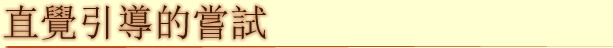 直覺引導的嘗試